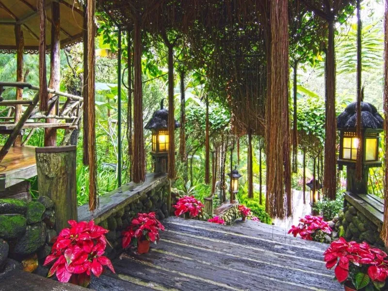 Fig Tree Hill · Anbieterbild von TUI