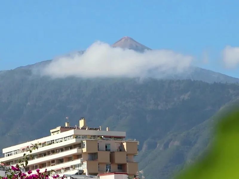 Apartamentos Pez Azul · Anbieterbild von TUI