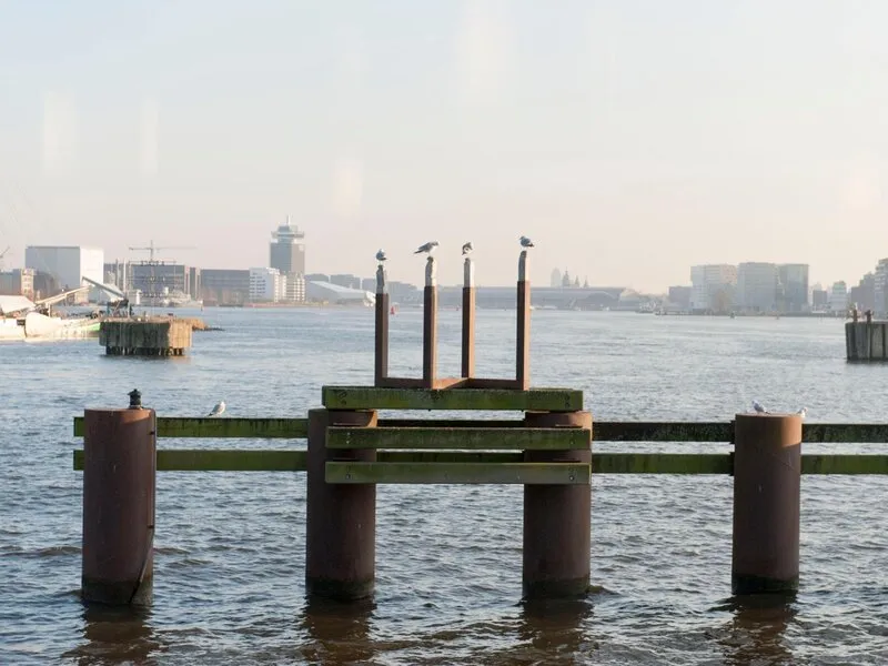 Botel · Anbieterbild von TUI