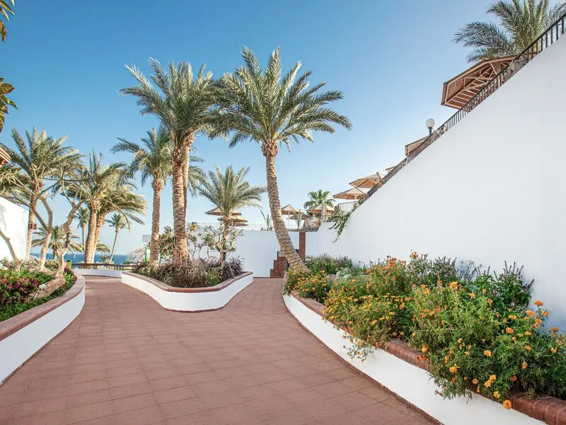V Hotel Sharm El Sheikh · Anbieterbild von TUI