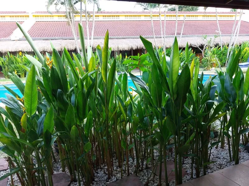 Kanchira Resort · Anbieterbild von TUI