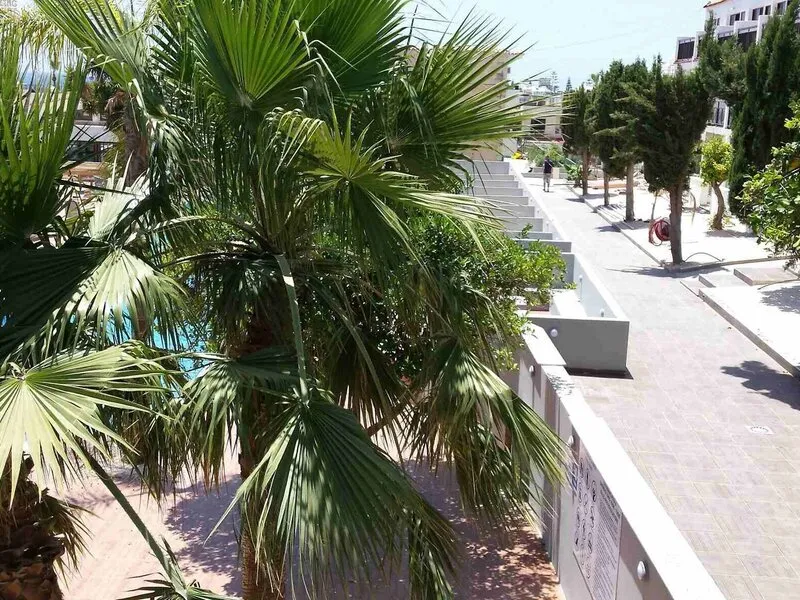 Pambos Napa Rocks · Anbieterbild von TUI