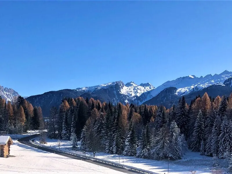 Park Hotel Sancelso · Anbieterbild von TUI