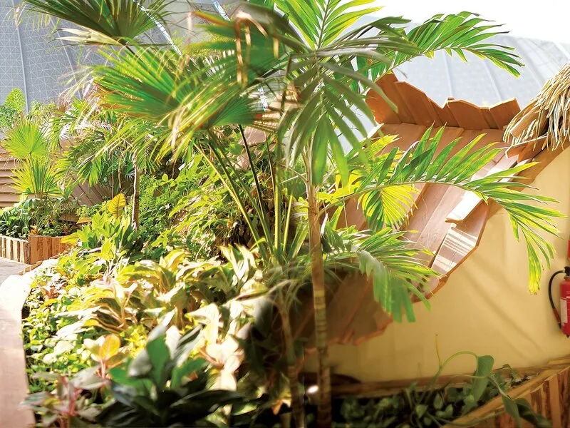 Tropical Islands Zelte · Anbieterbild von TUI