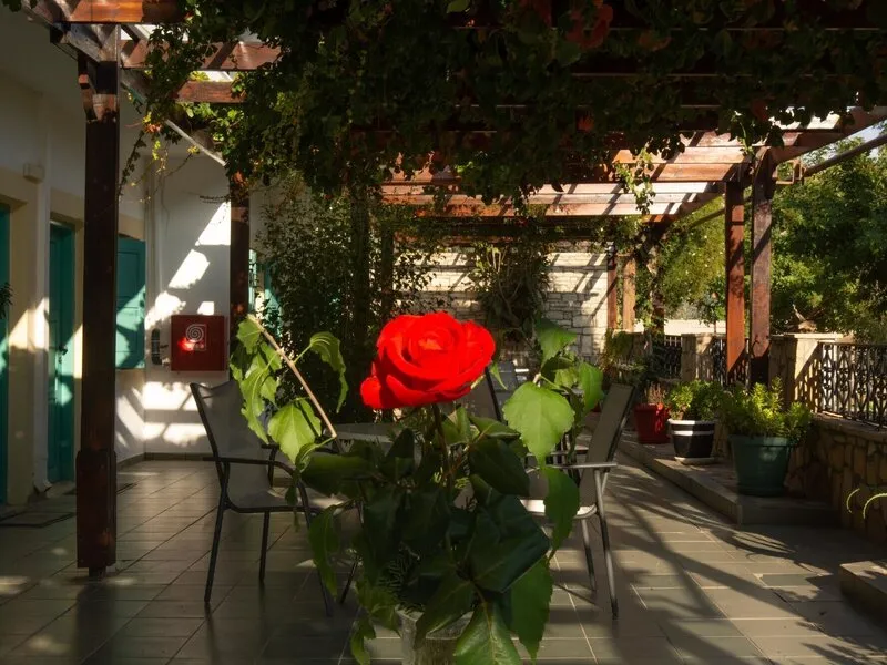 Dimitris Resort Hotel · Anbieterbild von TUI