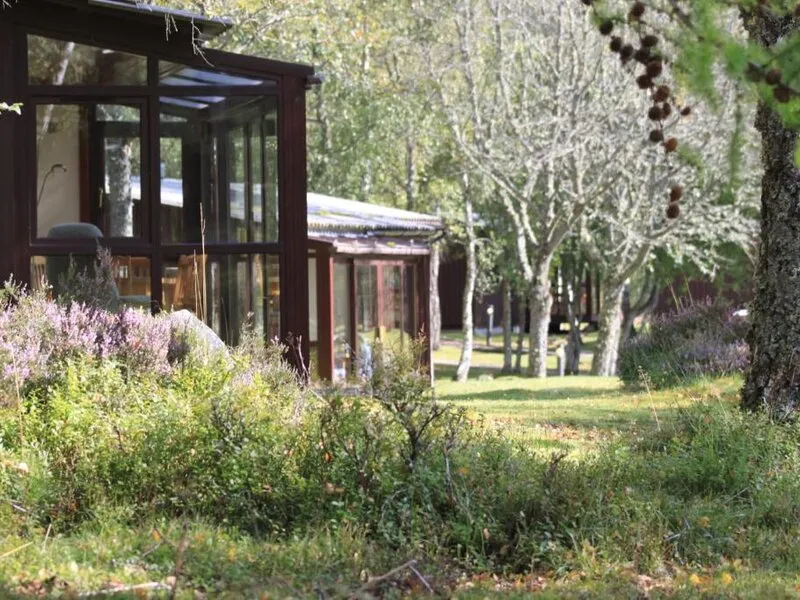 Macdonald Lochanhully Woodland Club · Anbieterbild von TUI