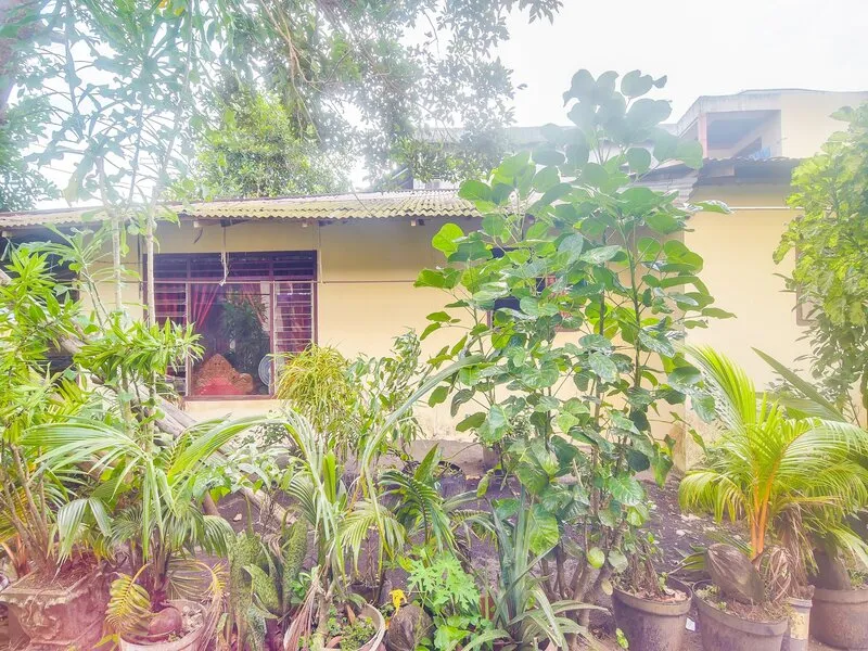 Oyo 91755 Priska Kost Dan Homestay · Anbieterbild von TUI