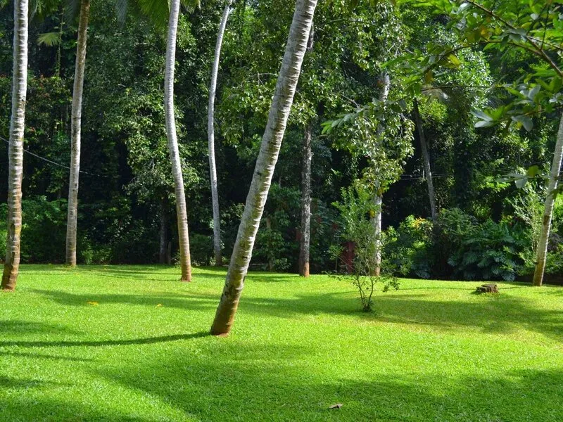 Clove Garden Hotel · Anbieterbild von TUI