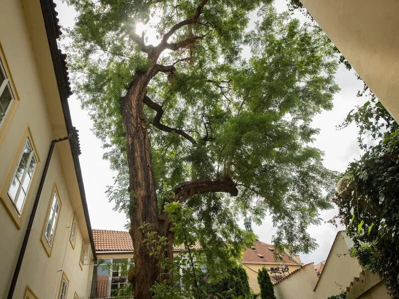 Monastery Garden Prague · Anbieterbild von TUI