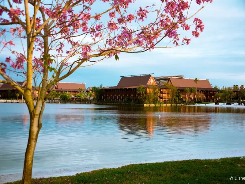 Disney's Polynesian Resort · Anbieterbild von TUI